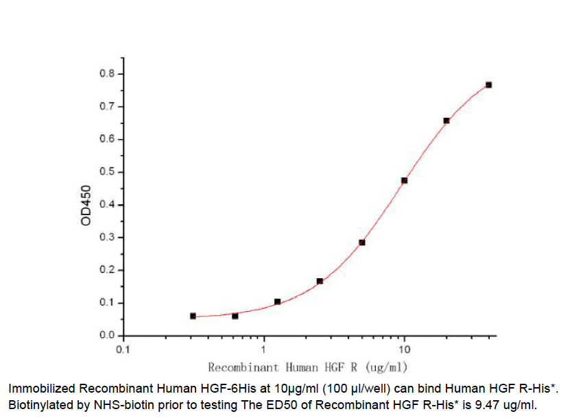 Procell-HGF R/ c-Met/ HGFR, Human, Recombinant